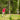 Frisbeegolf