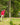 Frisbeegolf